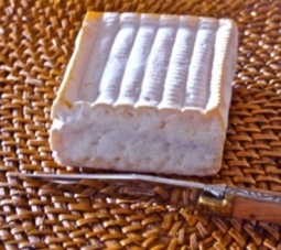 Cheeses of the world - Carré de Bray